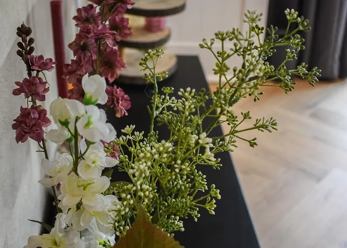 Dreamzzz Boutique B&B Kaatsheuvel